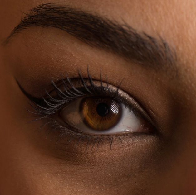 Brow & Lashes Bundles